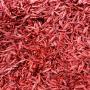 piment rouge de qualité en quantité 