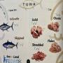 thon en conserve premium – origine tunisie