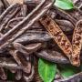 gold carob 