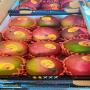vente mangues kent et noix d'acajou grillées