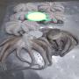 mauritanian octopus 
