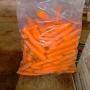 carottes fraîches 