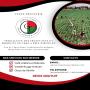 offre commerciale de café arabica-fob