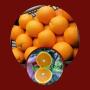 orange de jus valencia