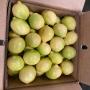 citron vert et jaune