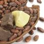 fournisseur agroalimentaire 