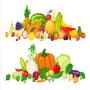 légumes espagnols en direct  toute l'année.
