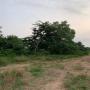 70 hectares agricoles à vendre à kpalimé