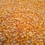 soybean meal fishmeal cornmaize for sale 