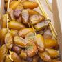 Deglet NOOR. Dates 