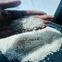 riz de pakistan