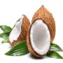 purchase of dried husk coconut