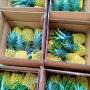 ananas de meilleures qualités 