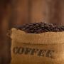 Grains de caf&eacute; Robusta 