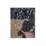palm kernel shell (pks) charcoal 