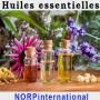 recherche de partenaires – huiles essentielle