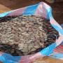  vente en gros de noix de karité – origine 