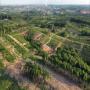 Terrain en vente dans une zone industrielle 