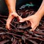 carob haute qualité 