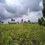 recherche partenaires agricole 
