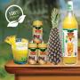 pure jus d’ananas - pain de sucre -pack de 24