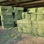 horse quality alfalfa hay ready