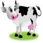 lait en poudre