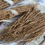 vente de tiges de vétiver (khamare) en france