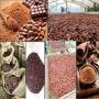 cocoa product