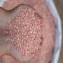 engrais kcl60 % rouge ( standard)