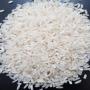 supplier of premium rice