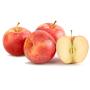 pomme gala