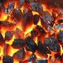 coal from kazakhstan 