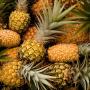 alimentation 