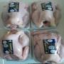 producteurs sérieuse d'oeufs de poule
