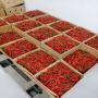 fresh red bird eye chili peppers uganda