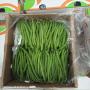 premium fine green beans from kenya