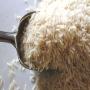 urgent - bateau de riz 