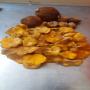  exportation de champignons forestiers frais 