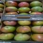 AGRI FRUITS ET LEGUMES