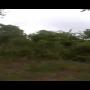 terrains disponibles au burkina faso 