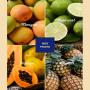 préparation export 2026 – fruits exotiques
