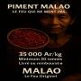  piment oiseau / pili-pili – 20 tonnes 