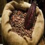 fève de <b>cacao</b> qualité supérieur