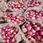 wholesale onions delivery through europe/uk