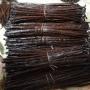 madagascar bourbon vanilla beans