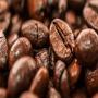 recherche de 500 tonnes de cacao à acheter 