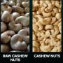 recherche acheteurs noix de cajou brute 