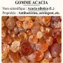 gomme arabique acacia 