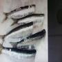 sardines congelés au maroc